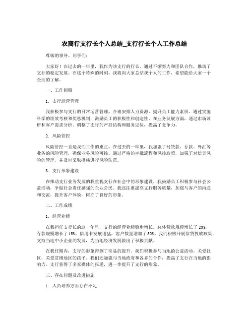 农商行支行长个人总结_支行行长个人工作总结