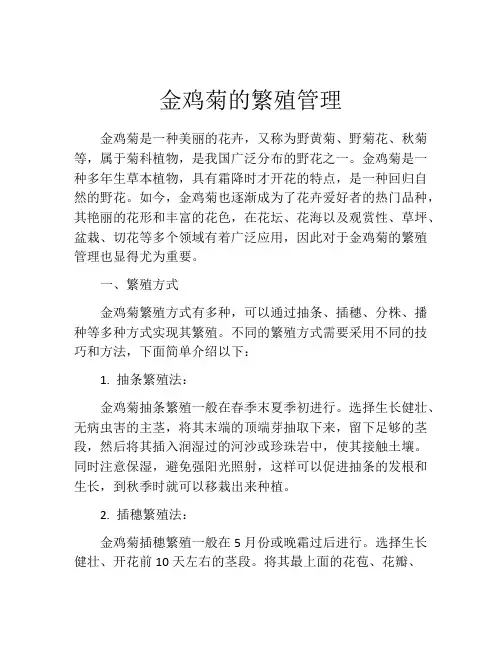 金鸡菊的繁殖管理