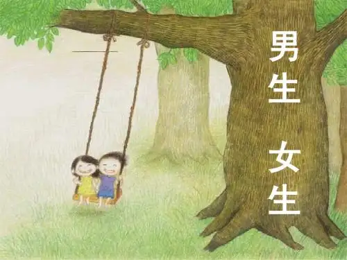 男生女生课件ckf