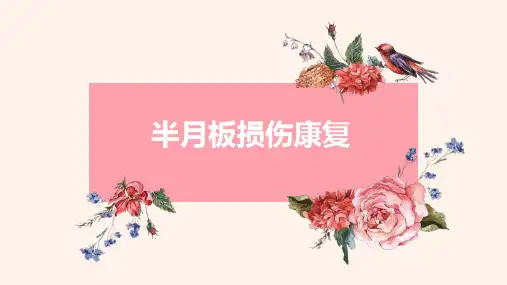 半月板损伤康复