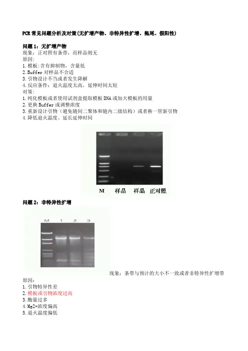PCR常见问题分析及对策