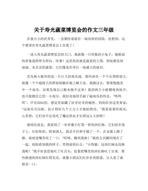 关于寿光蔬菜博览会的作文三年级