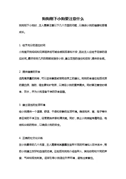 狗狗刚下小狗要注意什么