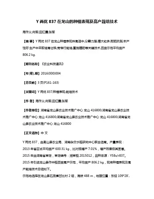 Y两优837在龙山的种植表现及高产栽培技术