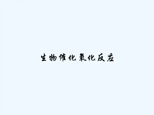 生物催化氧化反应 PPT
