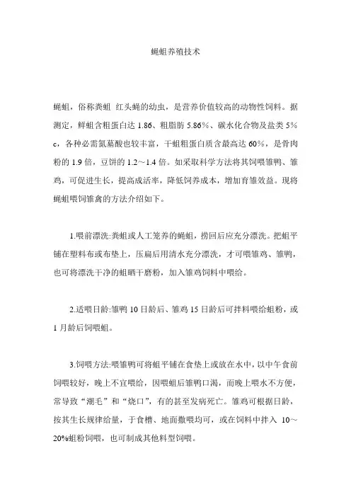 蝇蛆养殖参考