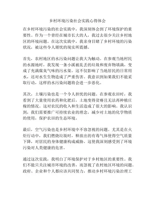 乡村环境污染社会实践心得体会