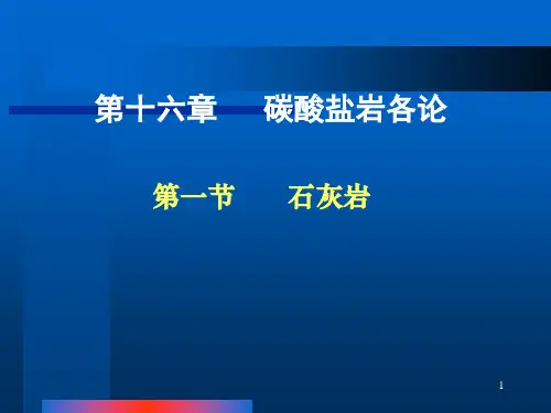 第10 石灰岩