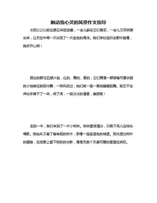 触动我心灵的风景作文指导