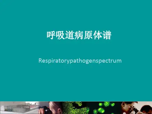 呼吸道病原体谱