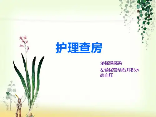 输尿管结石病人护理查房