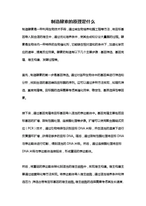 制造酵素的原理是什么