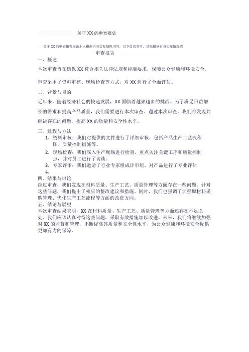 关于XX的审查报告