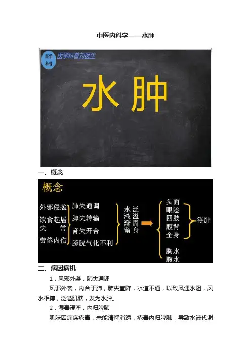 中医内科学——水肿
