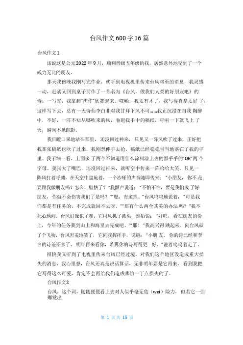 台风作文600字16篇