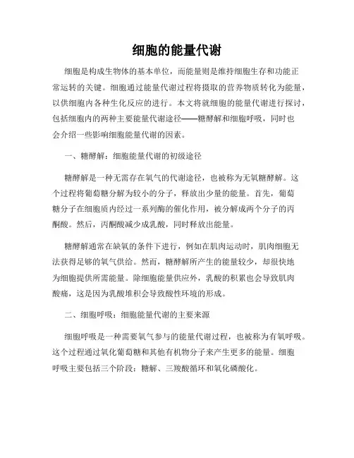 细胞的能量代谢