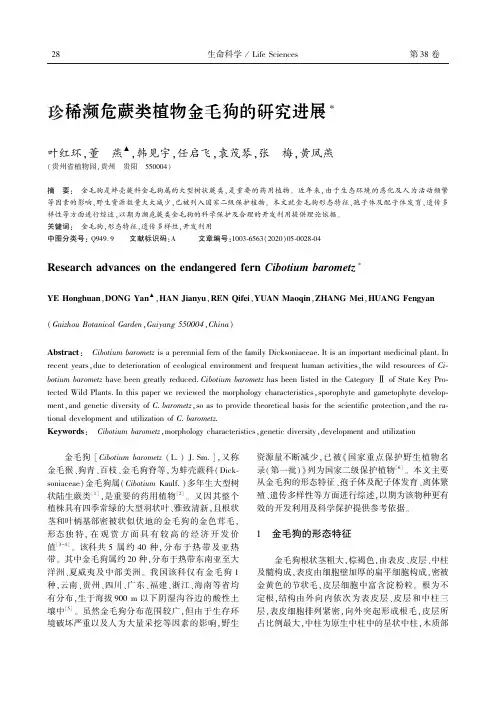 珍稀濒危蕨类植物金毛狗的研究进展