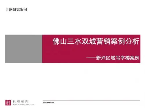 世联广东佛山三水双城营销案例分析