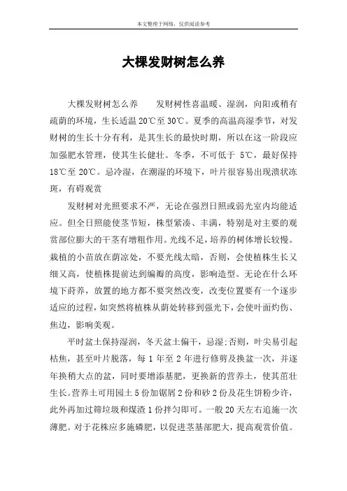 大棵发财树怎么养