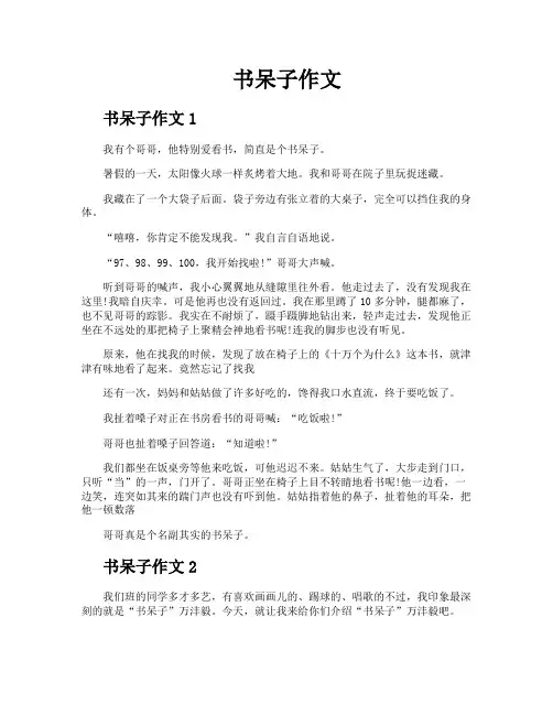 书呆子作文