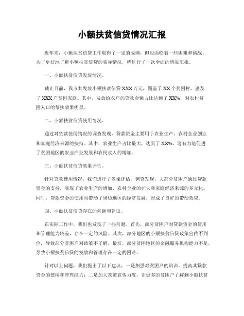 小额扶贫信贷情况汇报