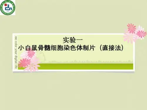 实验一 小白鼠骨髓细胞染色体制片