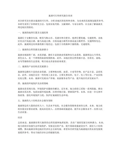 巢湖可行性研究报告培训