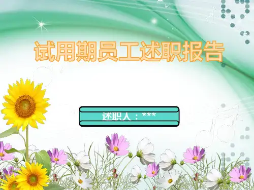 新员工转正述职报告PPT(24页)