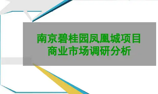 南京碧桂园凤凰城项目商业市场调研分析