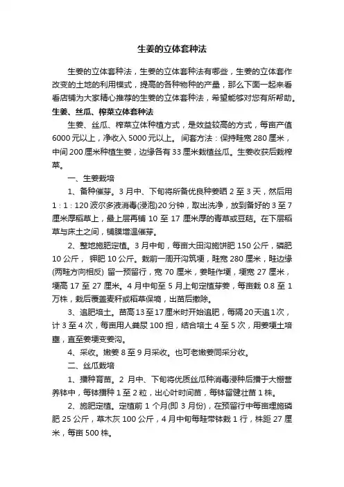 生姜的立体套种法