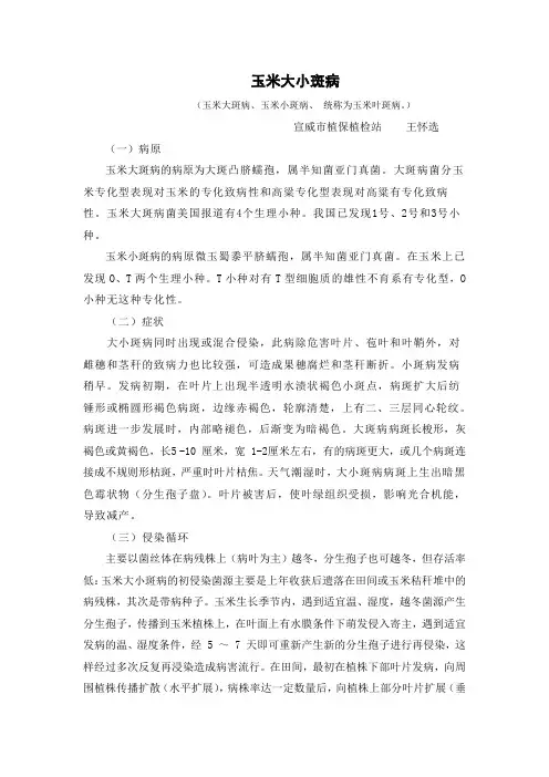 玉米大小斑病