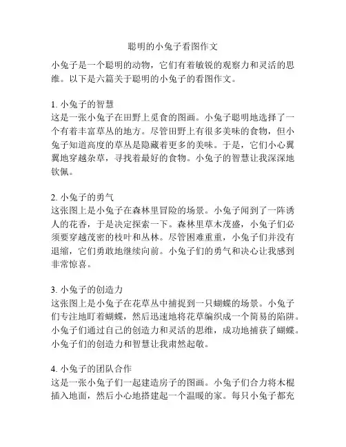 聪明的小兔子看图作文