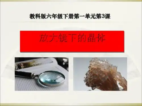 《放大镜下的晶体》微小世界PPT课件2 (共22张PPT)