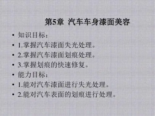 汽车美容2