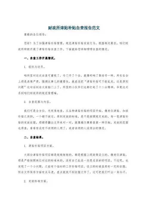 财政所津贴补贴自查报告范文