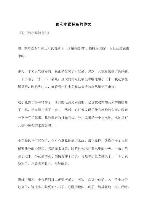 雨和小猫捕鱼的作文