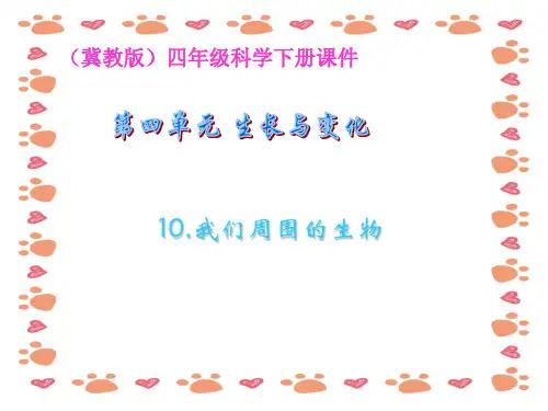 冀教版小学四年级下册科学《周围的生物PPT课件》教学