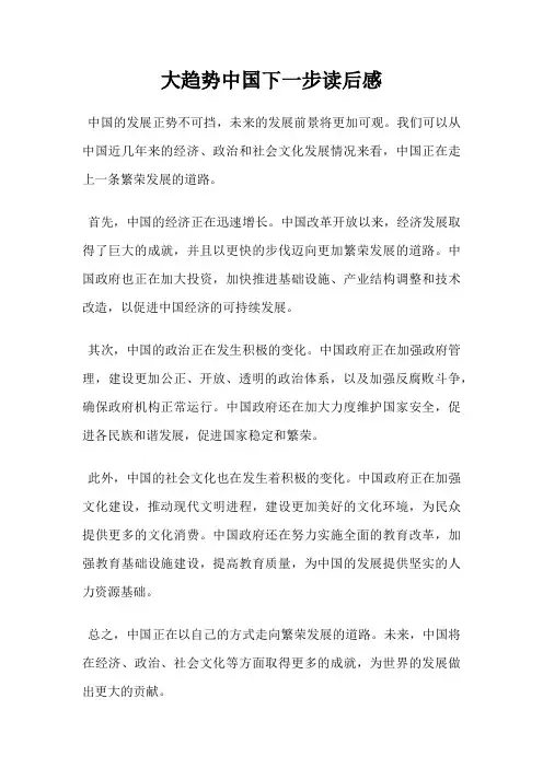 大趋势中国下一步读后感