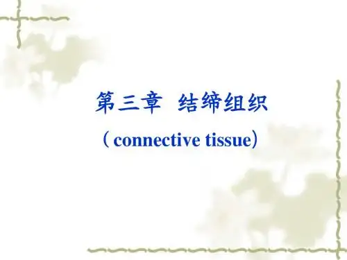 结缔组织
