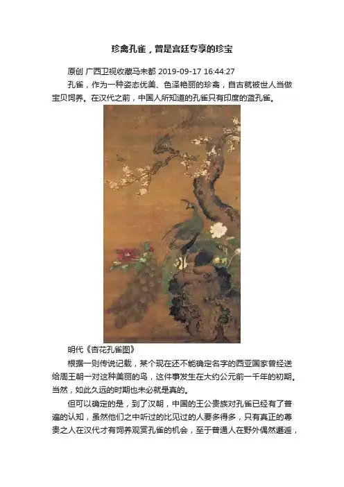珍禽孔雀，曾是宫廷专享的珍宝