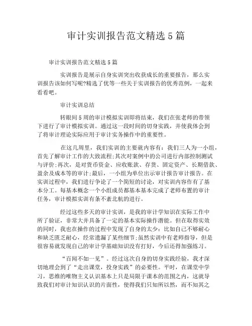 审计实训报告范文精选5篇