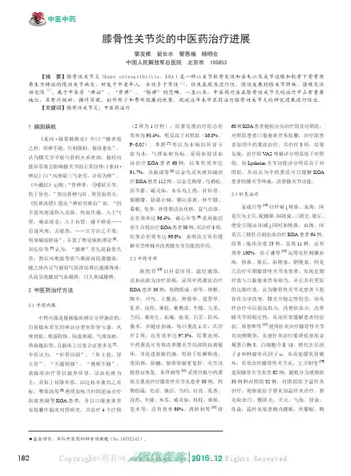 膝骨性关节炎的中医药治疗进展