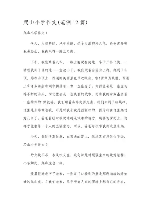 爬山小学作文(范例12篇)