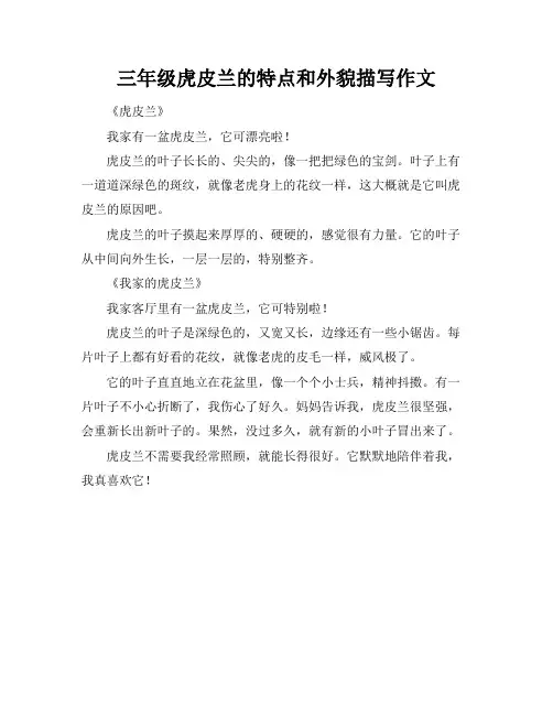 三年级虎皮兰的特点和外貌描写作文
