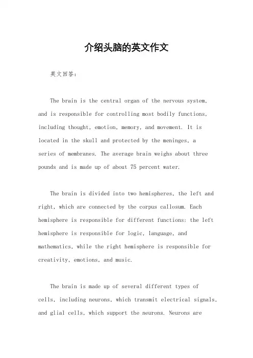 介绍头脑的英文作文