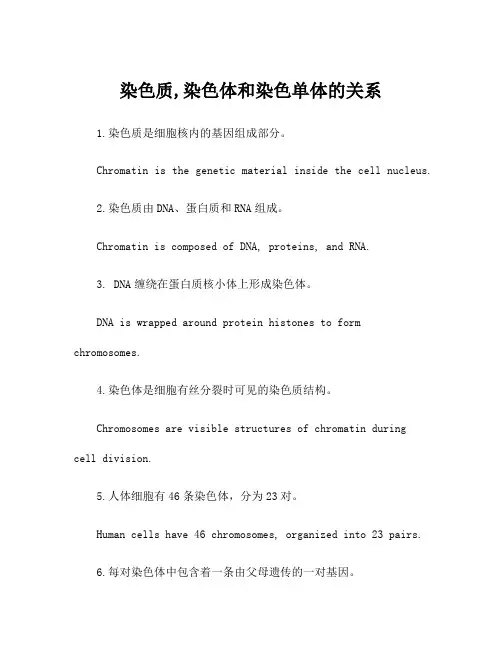 染色质,染色体和染色单体的关系