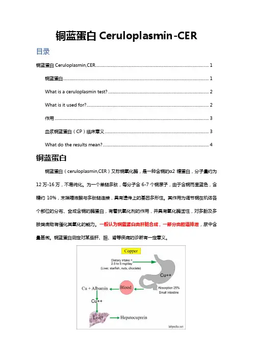 中英双语解读-铜蓝蛋白CER及其生理意义-肝豆状核变性