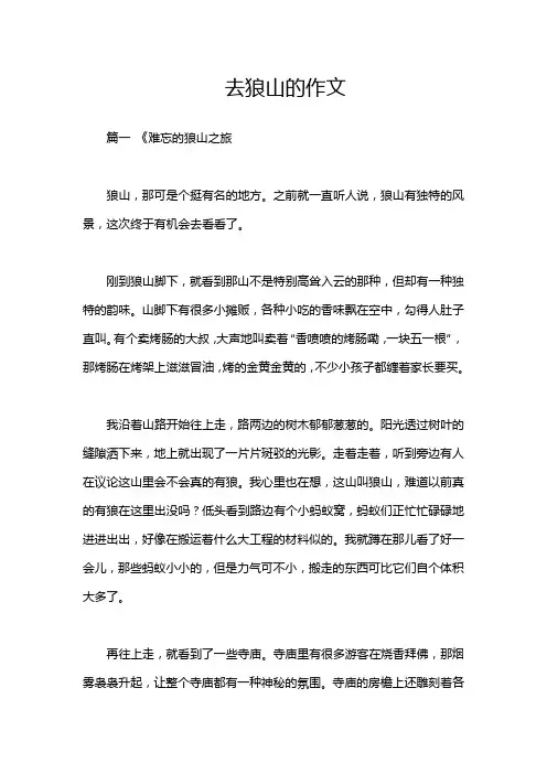 去狼山的作文
