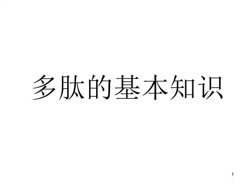 多肽知识PPT精选文档