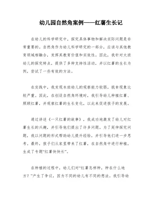幼儿园自然角案例——红薯生长记